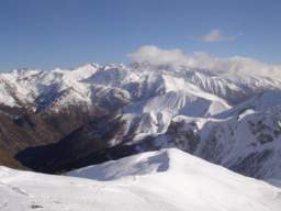 081124_A_siamo in 63.JPG